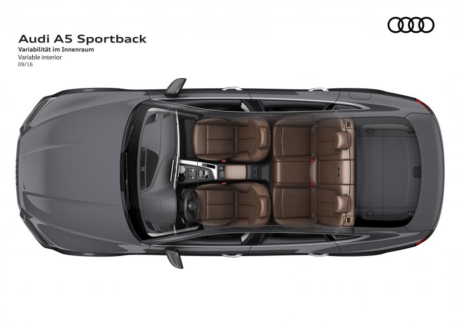 Схема Audi A5 Sportback 2.0 TDI Quattro S-Line 2016 года  (WW) (фото 22 из 35)